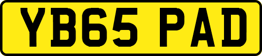 YB65PAD