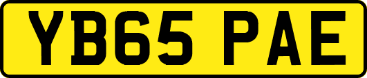 YB65PAE