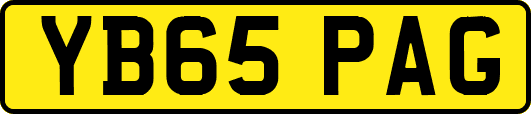 YB65PAG