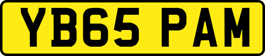 YB65PAM