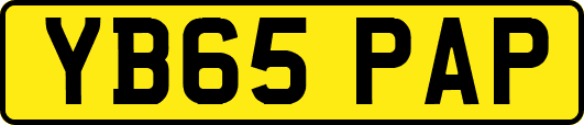 YB65PAP