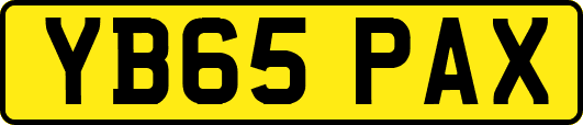 YB65PAX