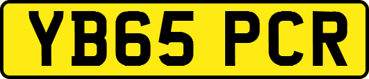YB65PCR