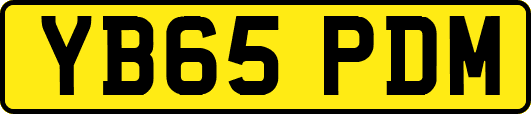 YB65PDM