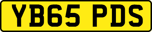 YB65PDS