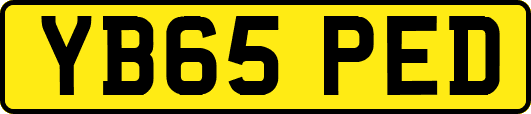 YB65PED