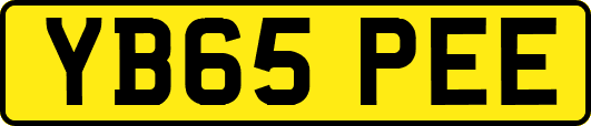 YB65PEE