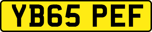 YB65PEF