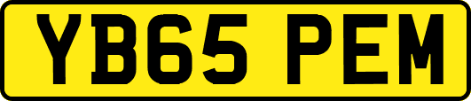 YB65PEM