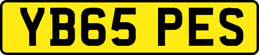 YB65PES
