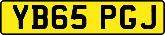YB65PGJ