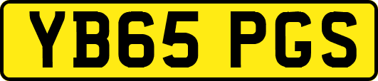 YB65PGS
