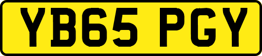 YB65PGY