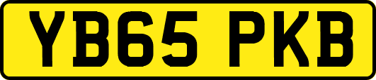 YB65PKB