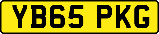 YB65PKG