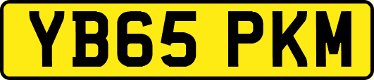 YB65PKM