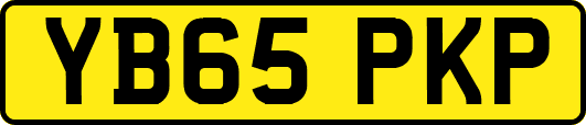 YB65PKP