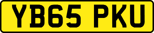YB65PKU