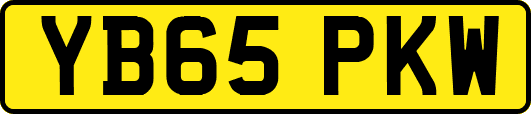 YB65PKW