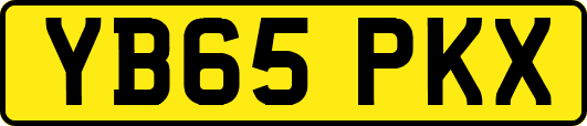 YB65PKX