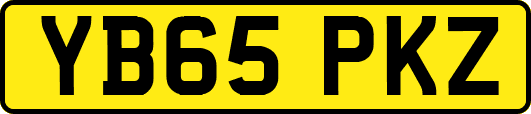 YB65PKZ