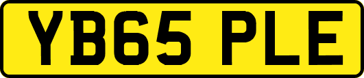 YB65PLE