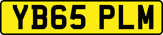 YB65PLM