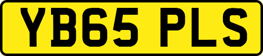 YB65PLS