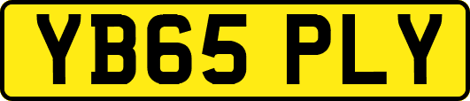 YB65PLY