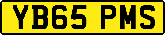 YB65PMS