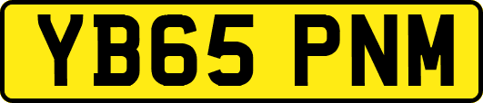 YB65PNM