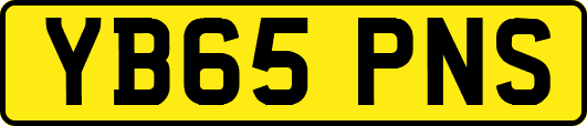 YB65PNS