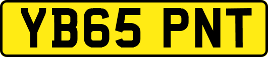 YB65PNT