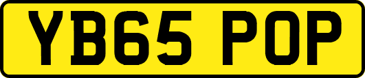 YB65POP