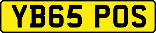 YB65POS