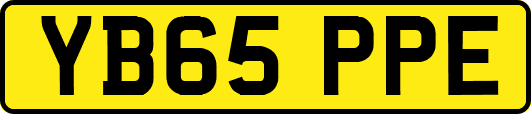 YB65PPE