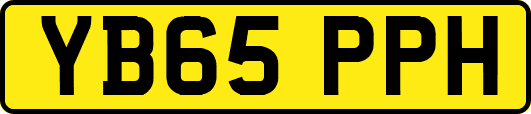 YB65PPH