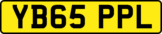 YB65PPL