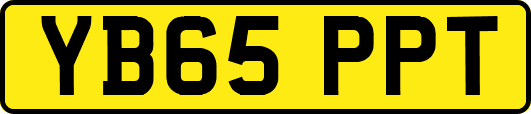 YB65PPT