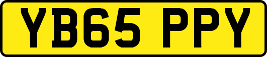 YB65PPY
