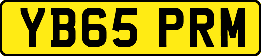 YB65PRM