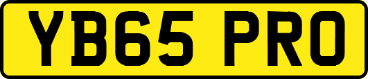 YB65PRO