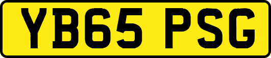 YB65PSG
