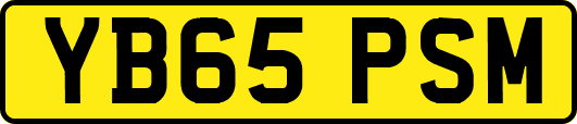 YB65PSM
