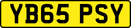 YB65PSY
