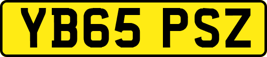 YB65PSZ