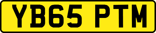 YB65PTM