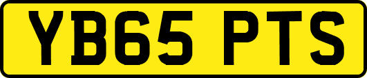 YB65PTS