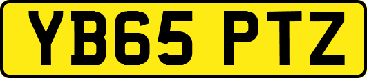 YB65PTZ