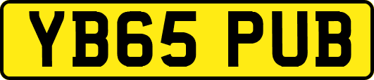 YB65PUB